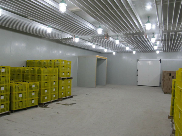 迎江区速冻冷库生产厂家