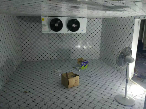 迎江区超低温冷库设计